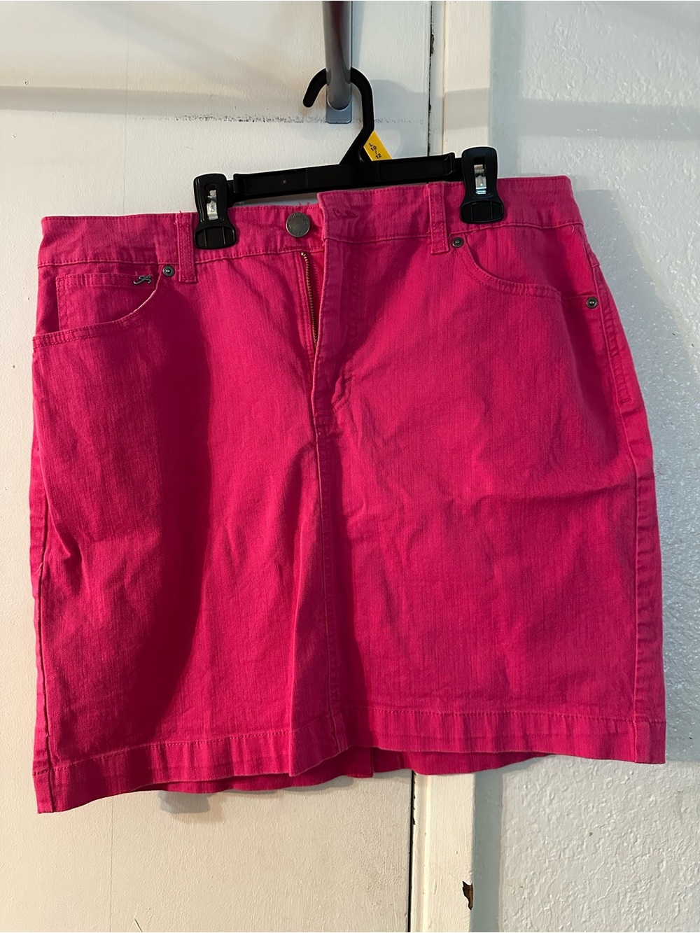 Style & Co Skirt
